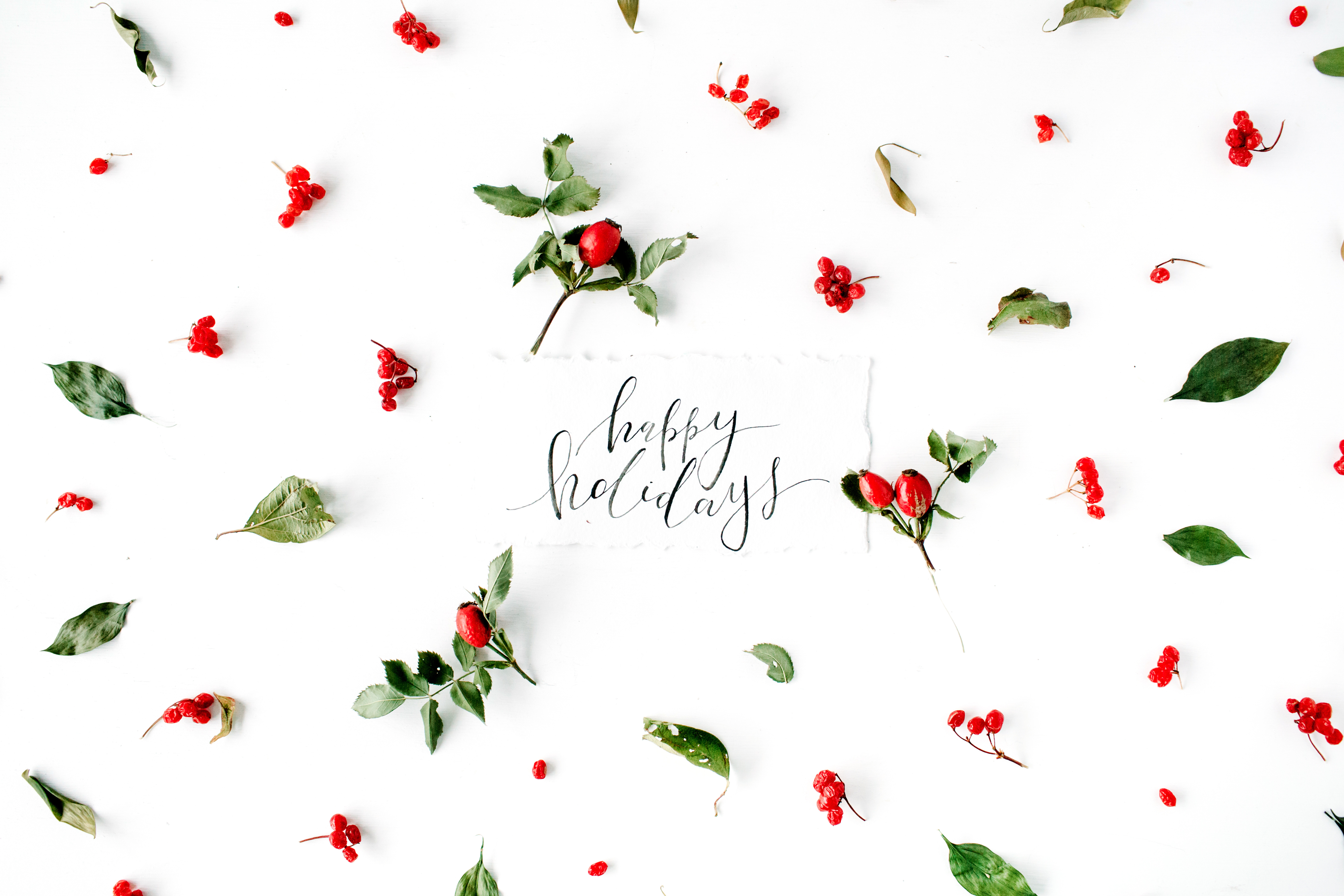 happy holidays white background